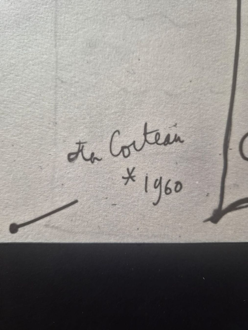 Dipinti: Oeuvre de Jean Cocteau – Usato da Genève venduto da hen_dz9m 4