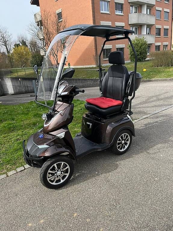 Veicoli elettrici: E-Mobil  – Usato da Wädenswil venduto da pae_988j