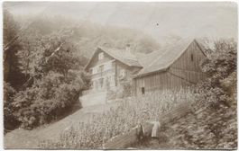 LANDWIRTSCHAFT/WEINBAU 1910 mit Reben - Rheintal SG?