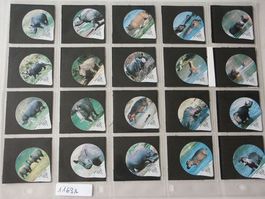 Serie  1163 A   Rhinos+Hippos     Gastro