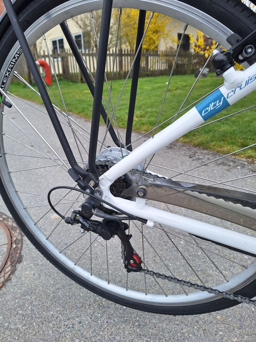 Leopard Velos: City E-Bike LEOPARD – Gebraucht aus Messen von Pfoesi 3