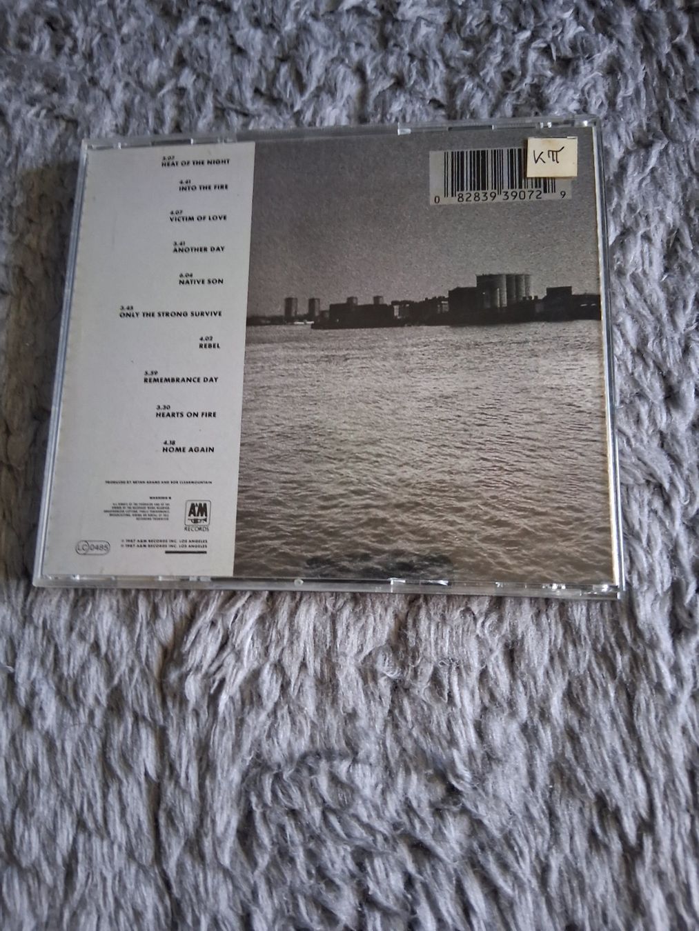 CDs: BRYAN ADAMS     INTO THE FIRE     CD – Gebraucht aus Wetzikon ZH von Ramones01 1