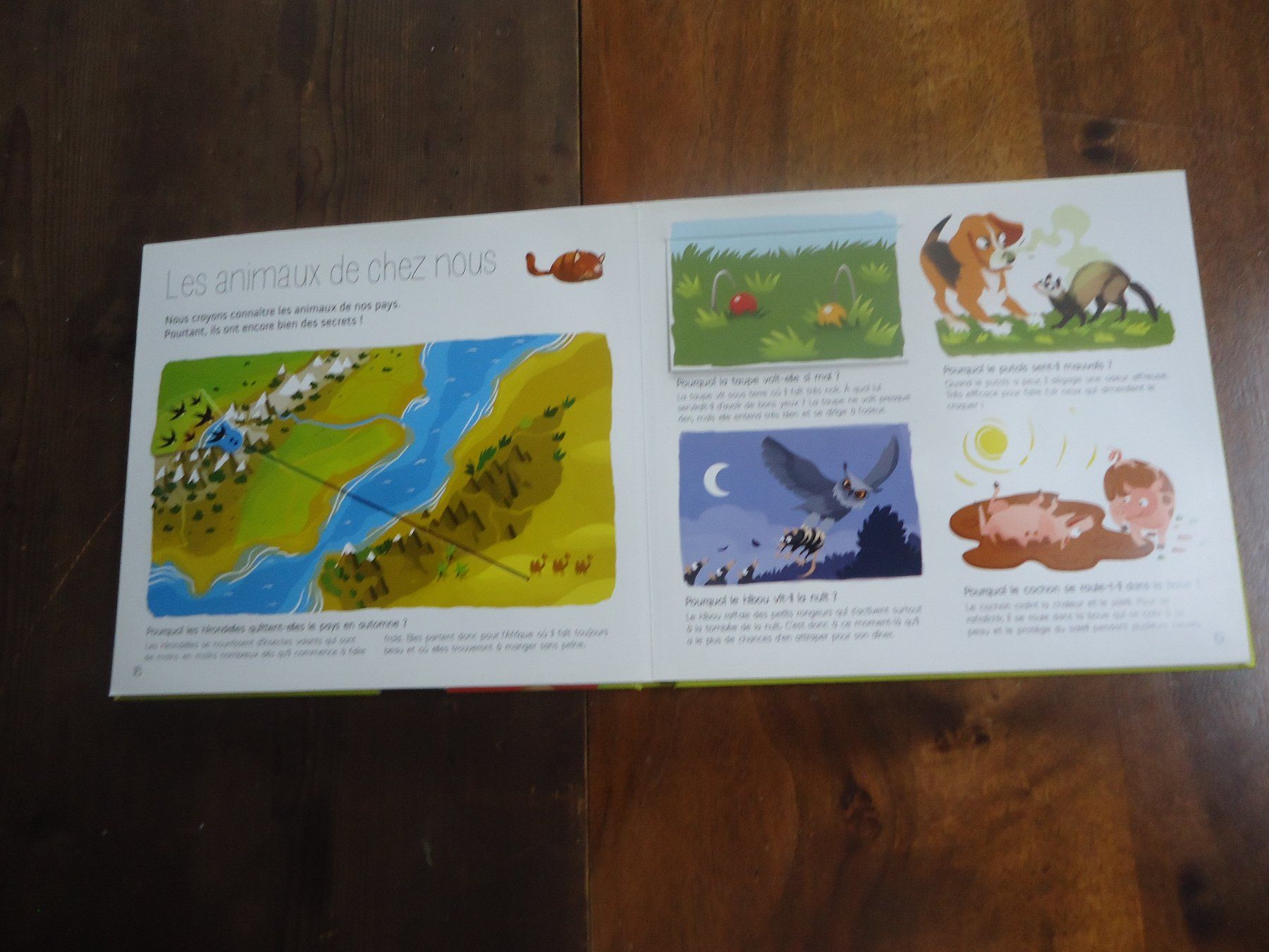 Libri: Mon tout premier Larousse des pourquoi ? – Usato da Vessy venduto da mafabe 2