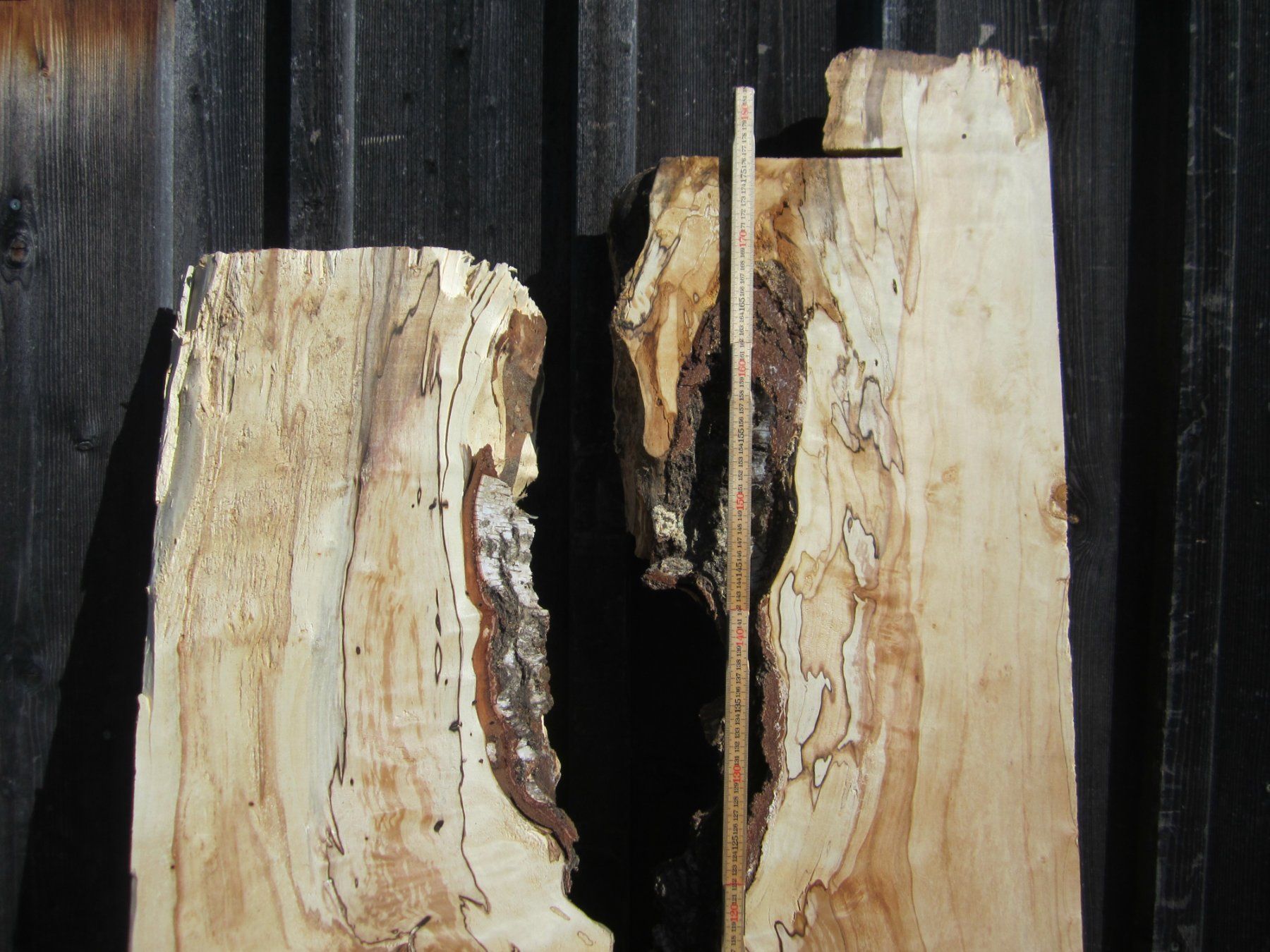 Articoli in legno: Holz für Epoxy Tischplatte – Nuovo (secondo la descrizione) da Nesslau venduto da Jakobi01 2