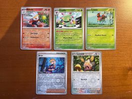 Pokemon Karten Set Reverse (Versand gratis)