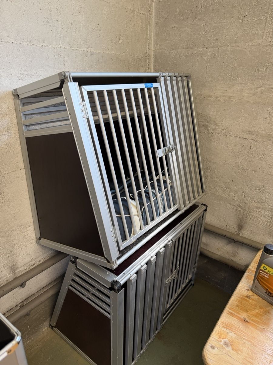 Gabbie, trasporto & Sicurezza: Robuste Hundetransportbox – Usato da Aarwangen venduto da ederico12