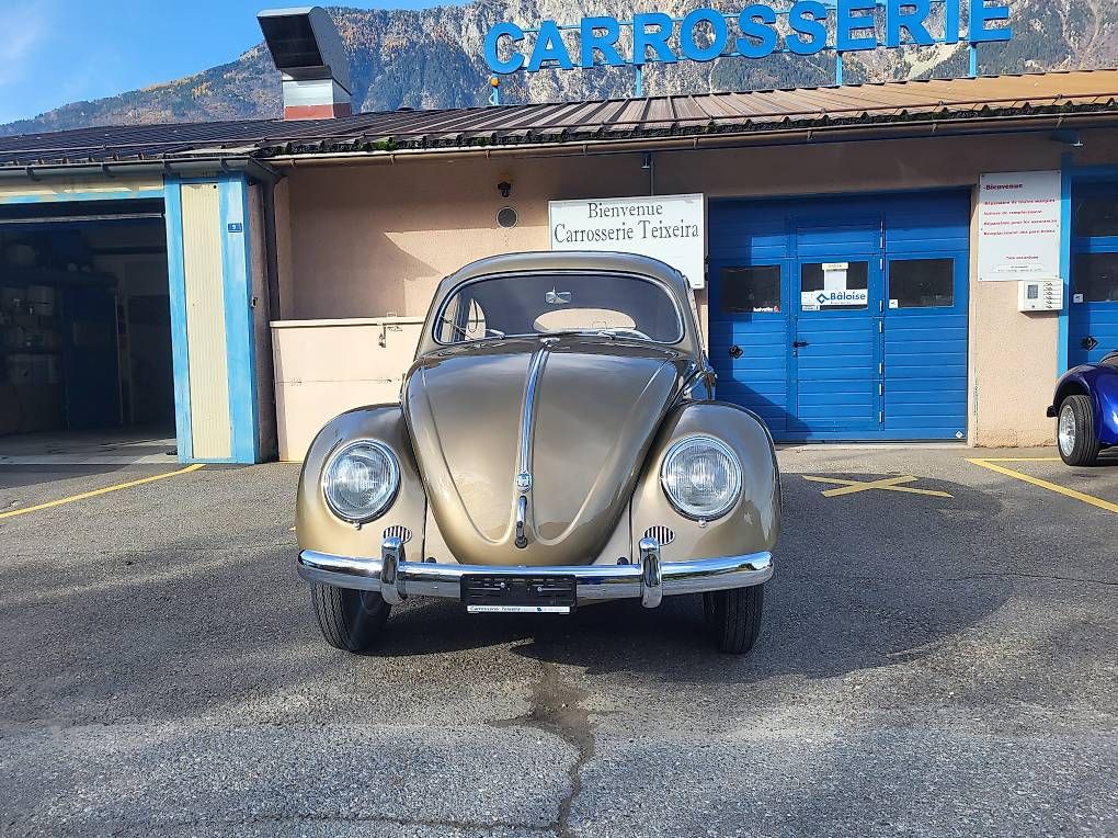 Automobili: Volkswagen Käfer Ovale – Usato da Fully venduto da Luvi