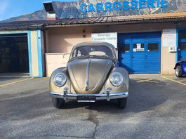 Volkswagen Käfer Ovale