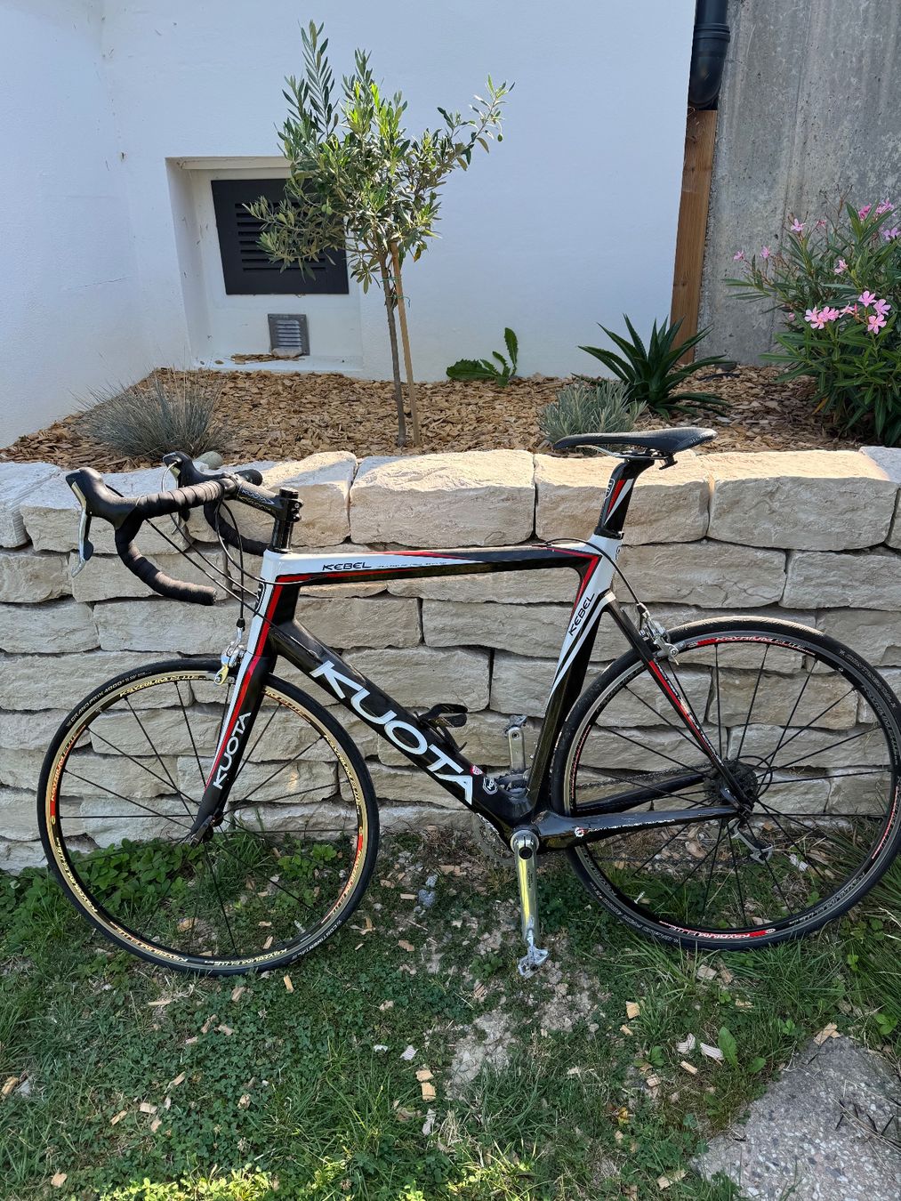 Kuota Vélos: KUOTA Rennvelo Karbonrahmen – D'occasion à Lutzenberg par jpd_ktv2 1