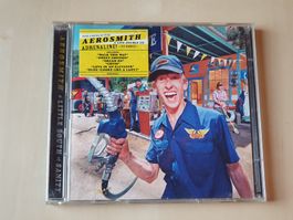 Aerosmith a little South of Sanity