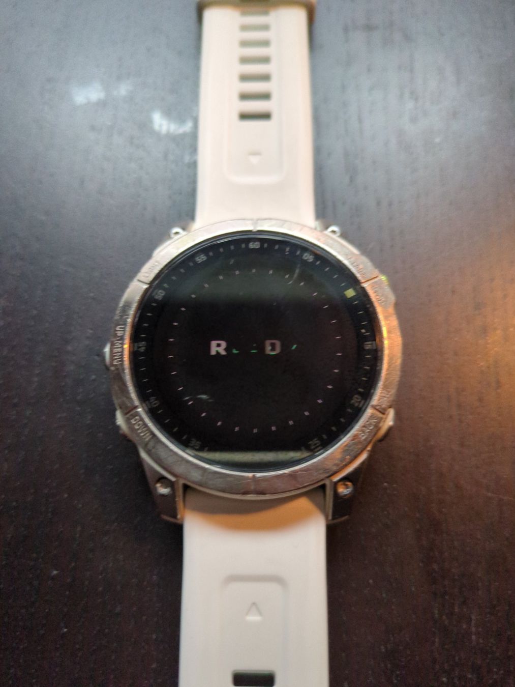 Garmin Smartwatch: Garmin Epix Gen2 47mm Sapphire Titanium – Usato da Adetswil venduto da testkauf 2