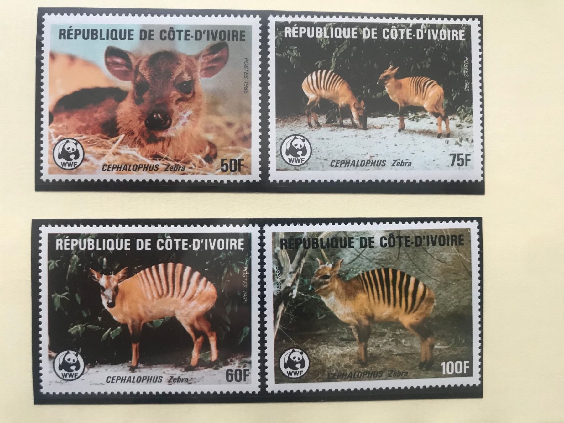 Tutti i francobolli: WWF Elfenbeinküste 1985 Zebraducker Satz postfrisch – Nuovo (secondo la descrizione) da Winterthur venduto da schnueps