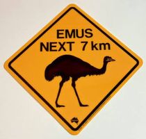 Kunststoffschild Emus  Next 7 km Australien Neu