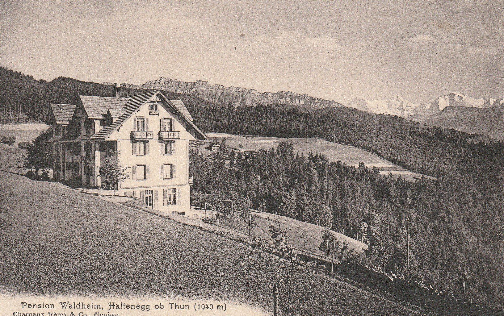 Cartoline postali: Ansichtskarte Pension Waldheim Haltenegg ob Thun 1040 m1916 – Usato da Rupperswil venduto da Ema10