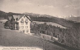 Ansichtskarte Pension Waldheim Haltenegg ob Thun 1040 m1916