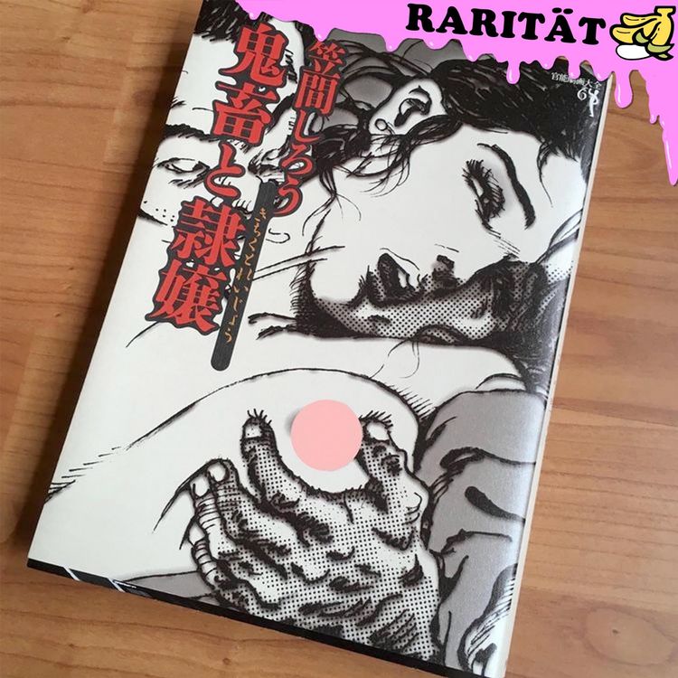 Erotik Shiro Kasama Bondage Manga Japanisch Kaufen Auf Ricardo