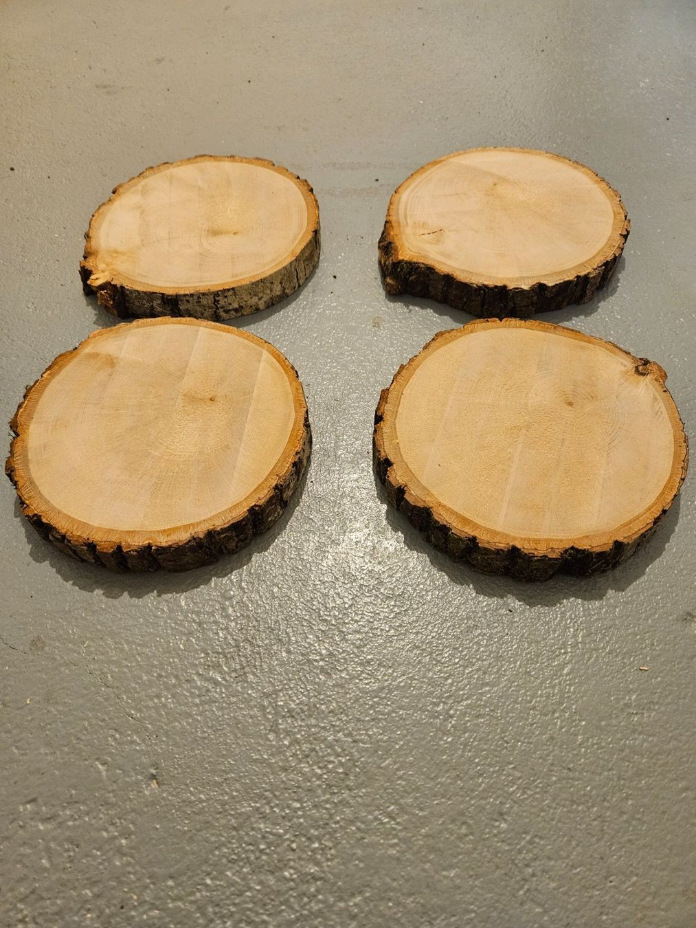 Articoli in legno: Rundholzscheiben/Baumscheiben – Nuovo (secondo la descrizione) da Brunnen venduto da kent03 2