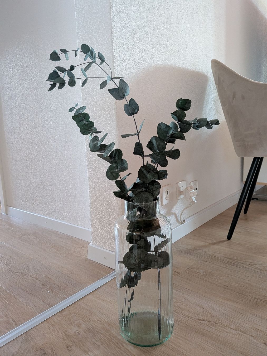 Tutte le decorazioni: Kiste mit stabilisiertem Eukalyptus (Cinerea) – Usato da Aarau venduto da ilohe 1