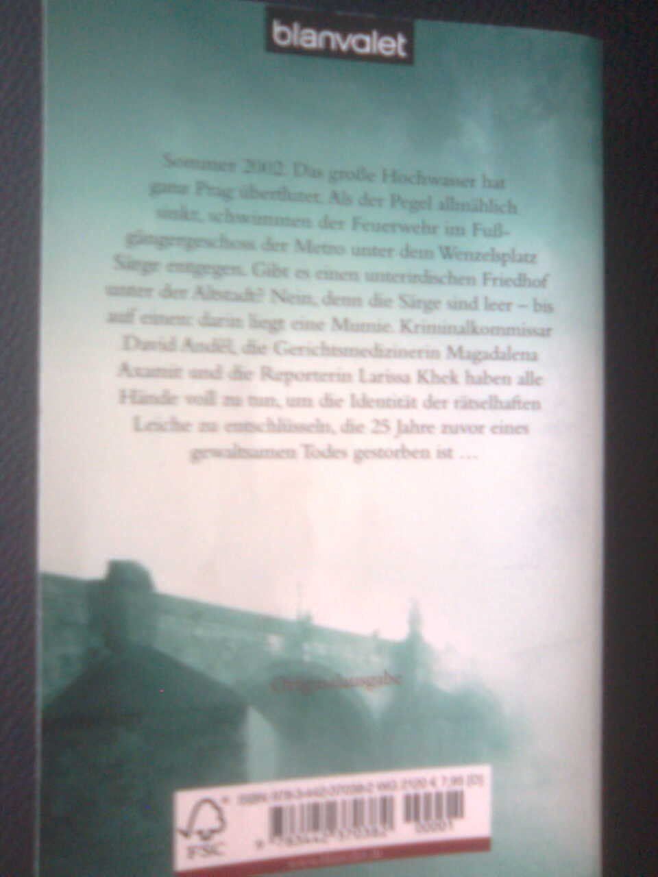 Libri: Helena Reich  Nasses Grab – Usato da Basel venduto da Alacant 2
