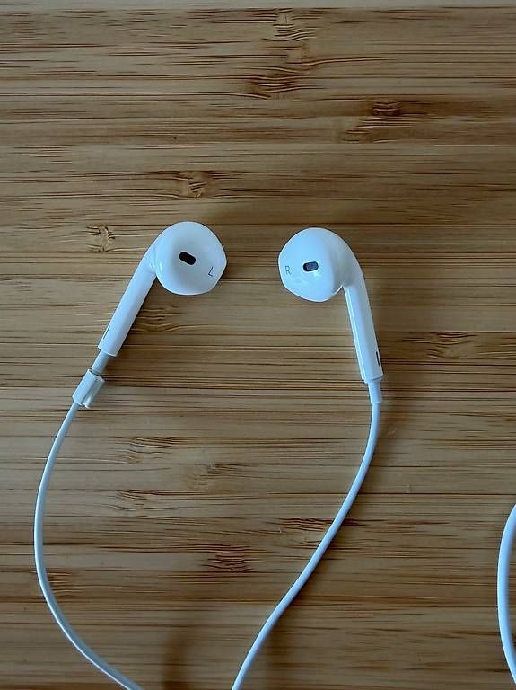 Apple Casques audio: Apple Kopfhörer (original, Lightning) – D'occasion à Kesswil par WaveNomad 1