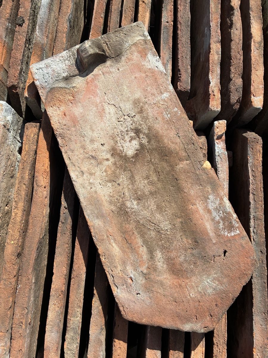 Pietre & tegole: Biberschwanzziegel Antik mit Handstrich – Usato da Vinelz venduto da Danilo.Stuck 2