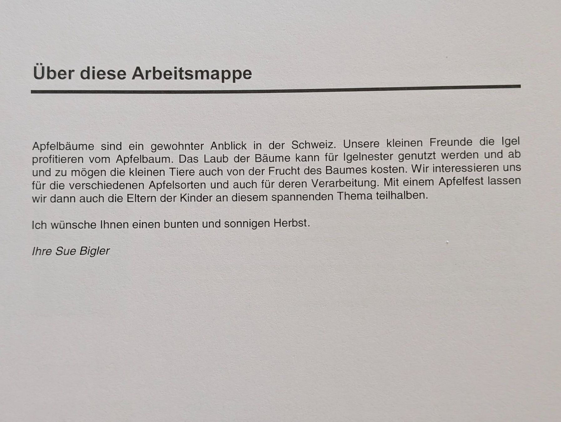 Livres: Kindergartenarbeitsmappe: Der Apfelherbst – Neuf (Voir description) à Weite par Nur63 1