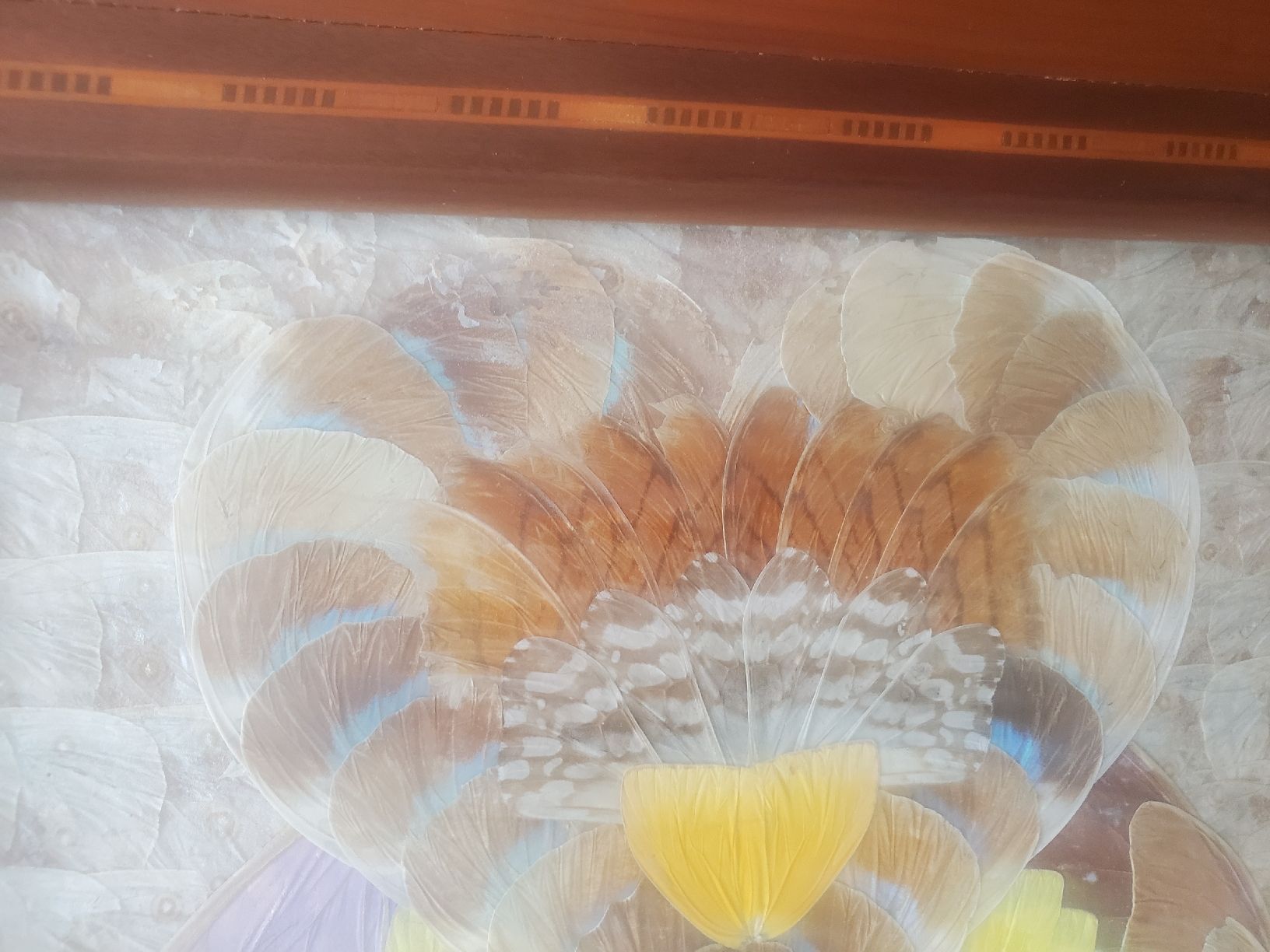 Dessous de verre: Antikes Schmetterlingsflügel-Tablett – D'occasion à Frauenfeld par BeneFull 8