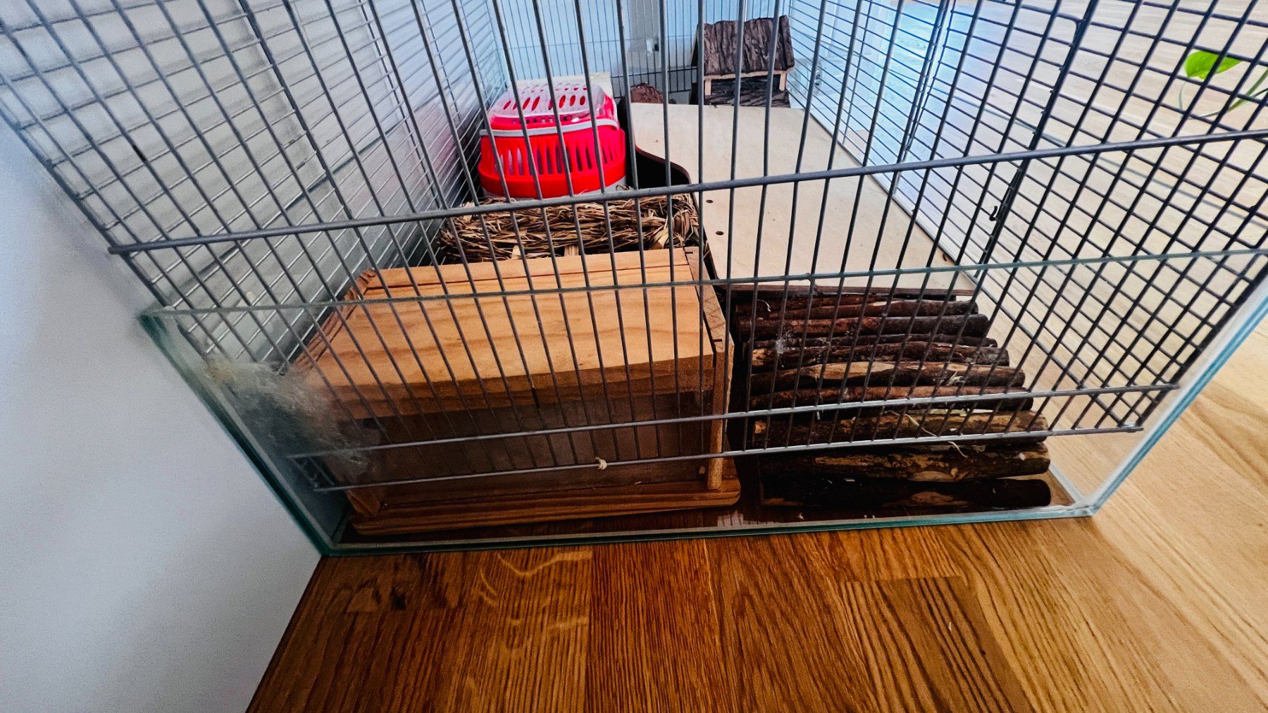 Gabbie, trasporto & Sicurezza: 🐹  Kit complet pour hamster - Complete Hamster Kit/Bundle – Usato da Lausanne venduto da Angod23 5