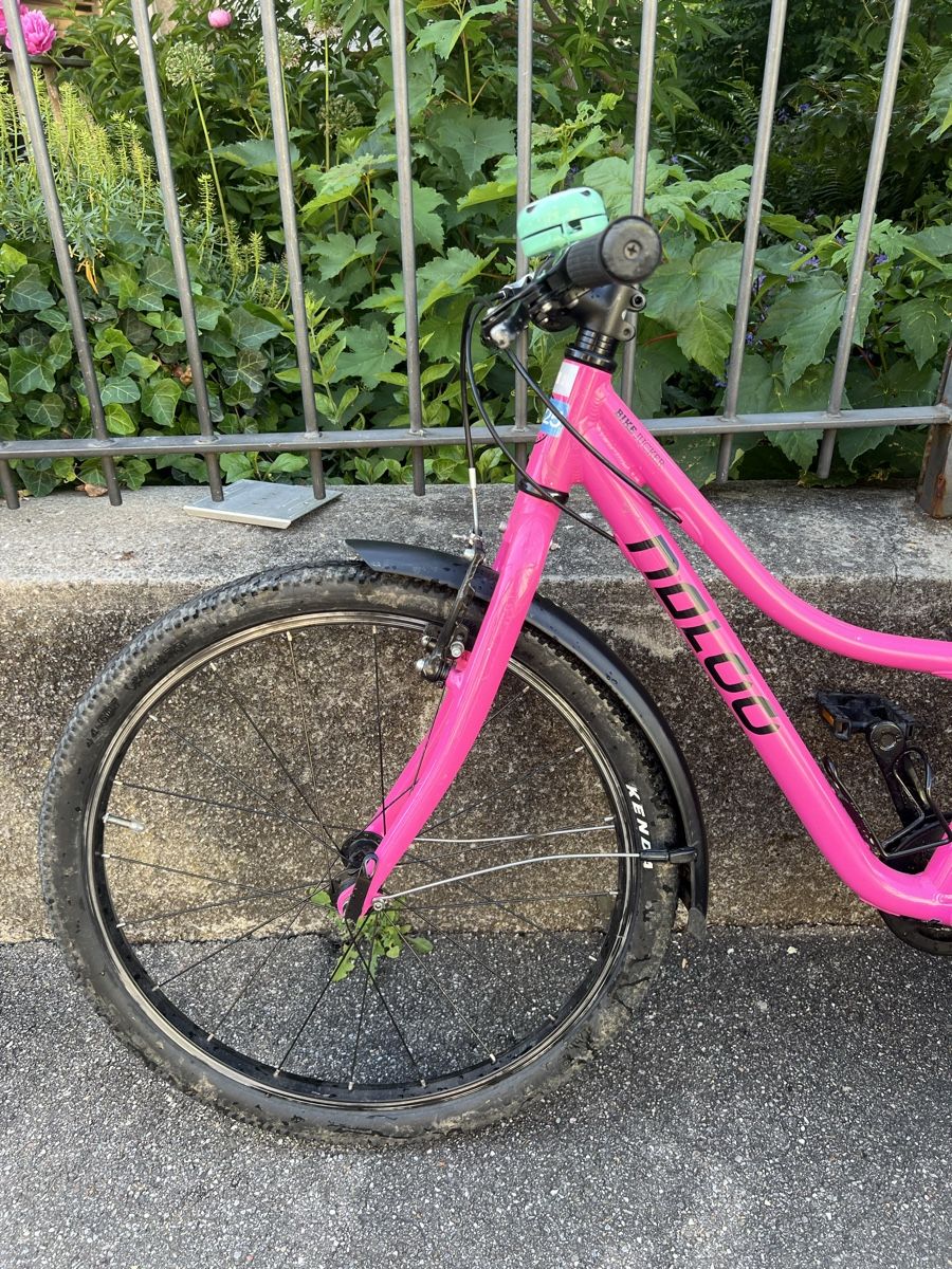 Naloo Biciclette: Naloo 24 Chameleon in pink – Usato da Basel venduto da Chris_4056 1