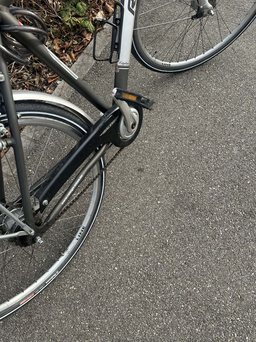 Raleigh Biciclette: RALEIGH VELO wenig gebraucht – Usato da Gutenswil venduto da Bregenzer8610 7