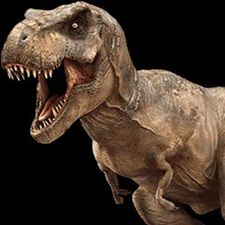 Profile image of oli_97dt