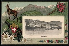 Passepartout-Lithographie Eglisau, Blick