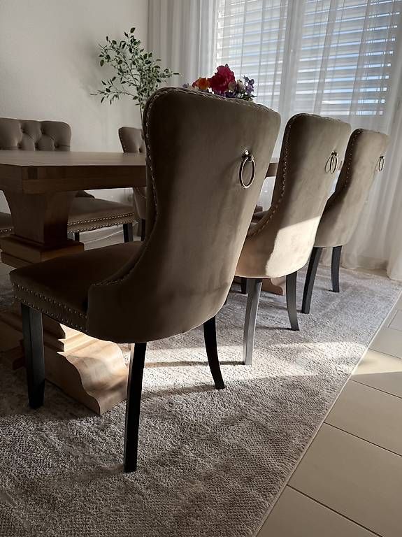 Stühle: 6 Luxuriöse Samt Esszimmerstühle-Set – Neu (gemäss Beschreibung) aus Wetzikon ZH von iva_f65f 1