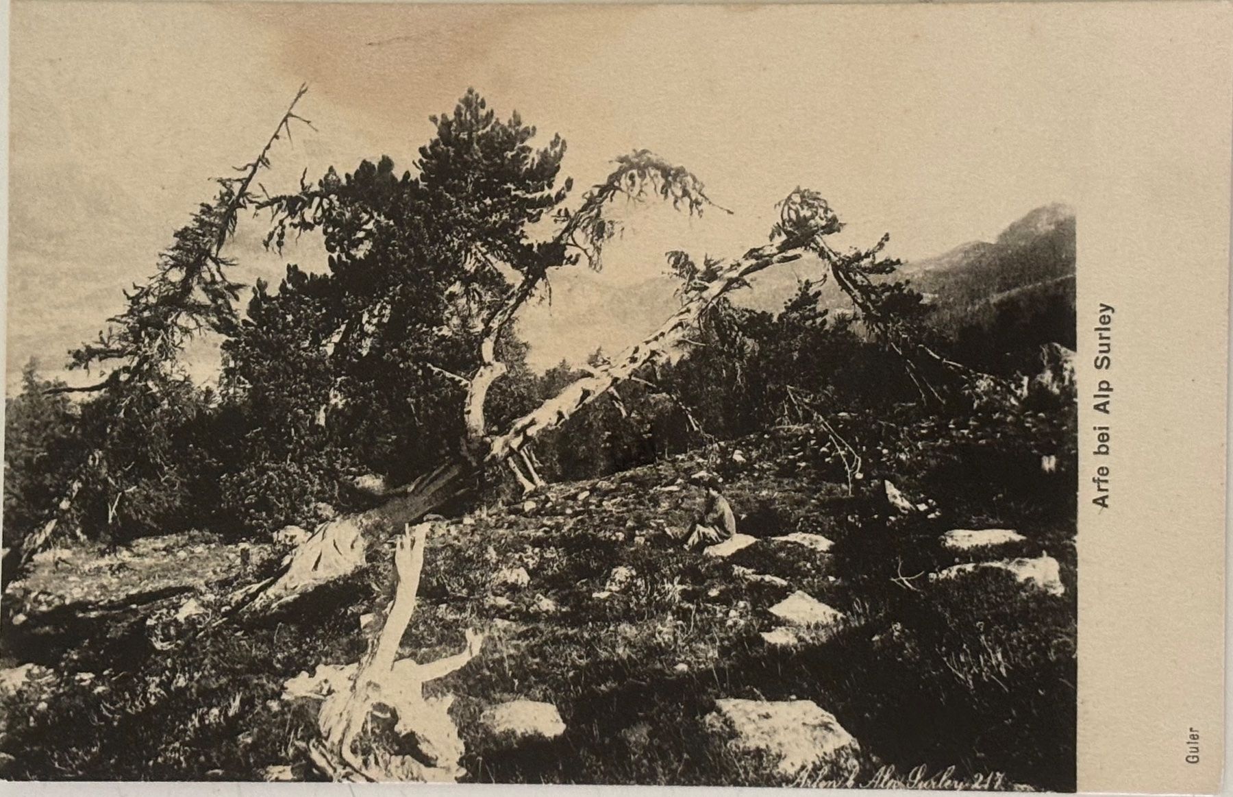 Cartoline postali: Arfe bei Alp Surley – Usato da Frauenfeld venduto da Merk52