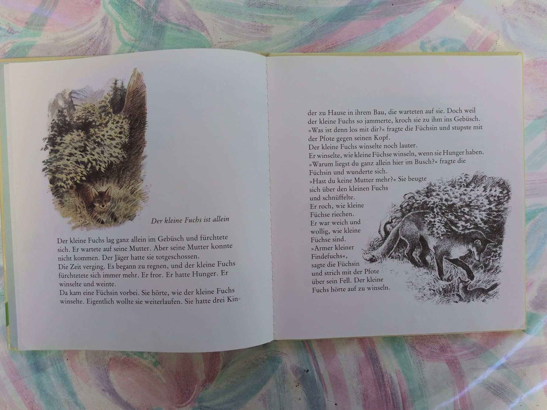 Libri: Der Findefuchs – Usato da Ottikon venduto da sobsale 1