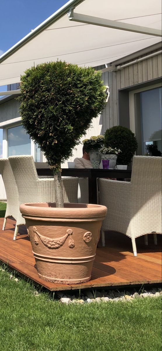 Sedie: Gartenstuhl 4er-Set – Usato da Spiegel b. Bern venduto da twinter01 2