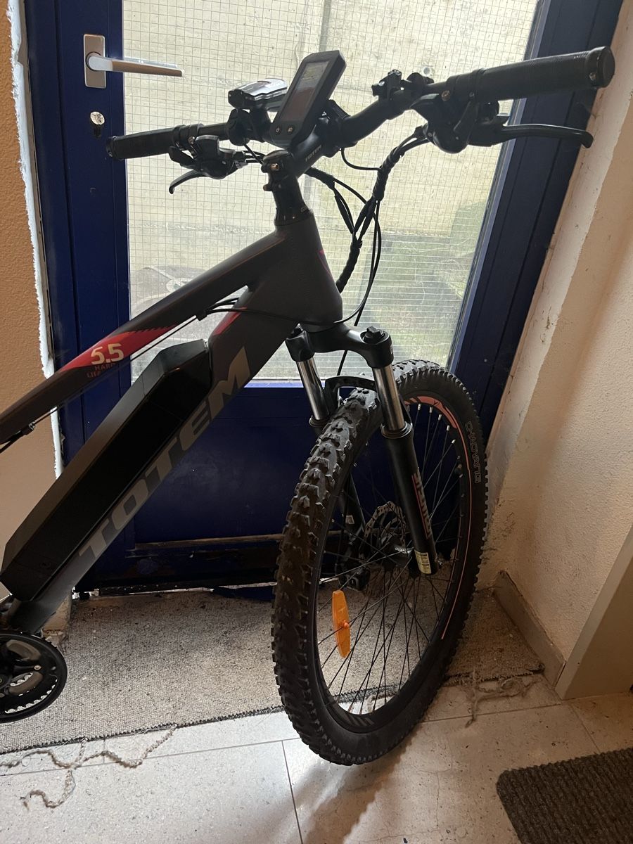 Totem Velos: Ebike – Defekt aus Mörschwil von mar_klw6 3