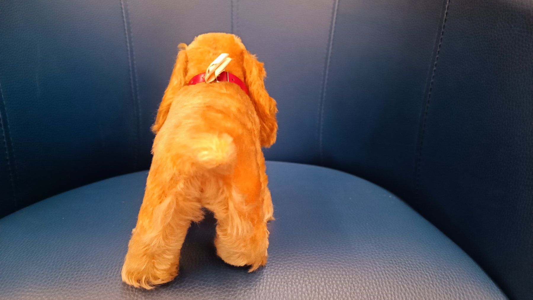 Giocattoli: Steiff Cocker Spaniel Hund Cockie Vintage – Usato da Reiden venduto da Zofi-Brocki 3