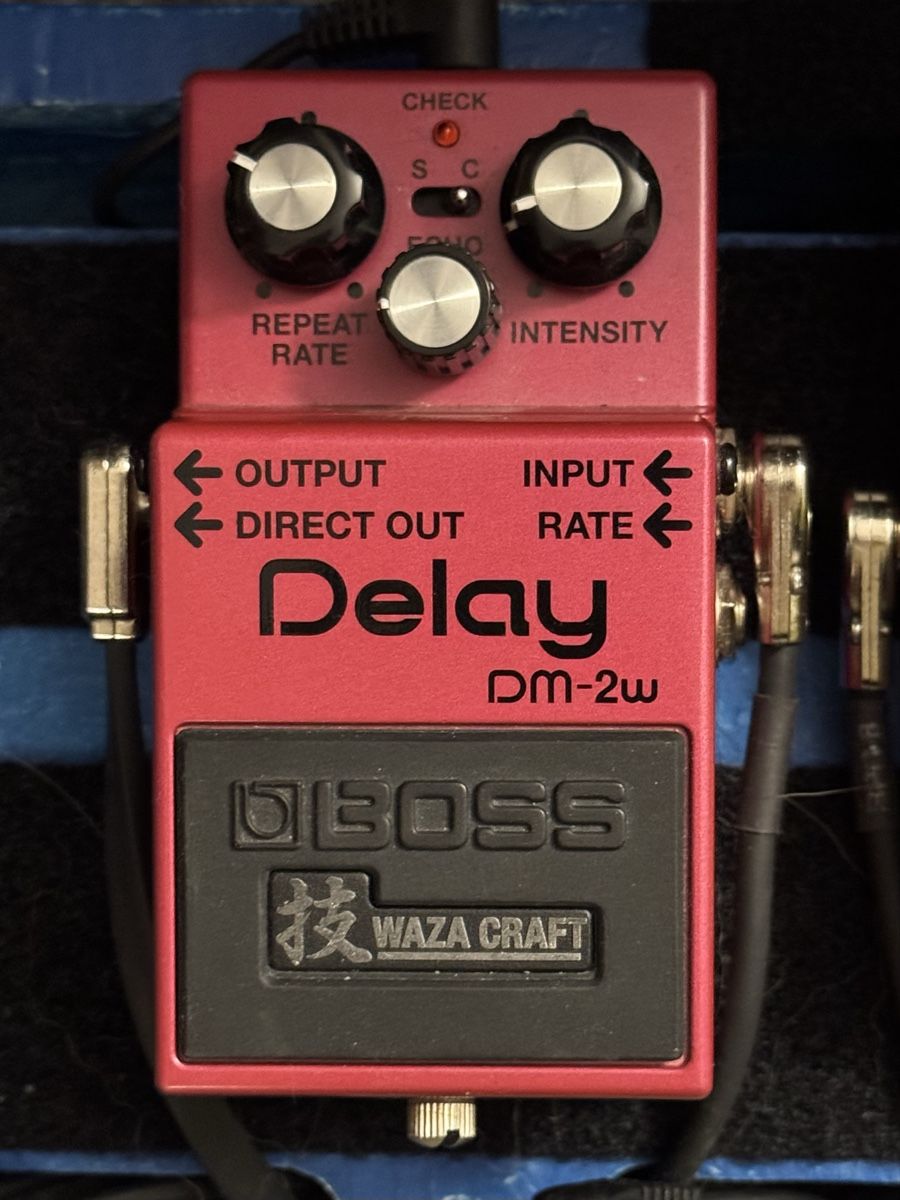 Roland Musikinstrumente: Boss DM-2W Waza Craft Delay Pedal – Gebraucht aus Chavannes-des-Bois von ozgun