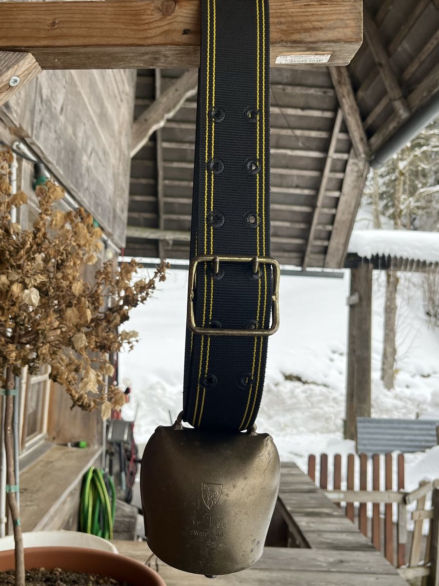 Campanacci mucche: Weidetreicheli – Nuovo (secondo la descrizione) da Wasen im Emmental venduto da weh_qg2d