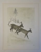 Willy Eugen Bär  Litho. Nr. handsign. Tier-Motiv,  50x40cm