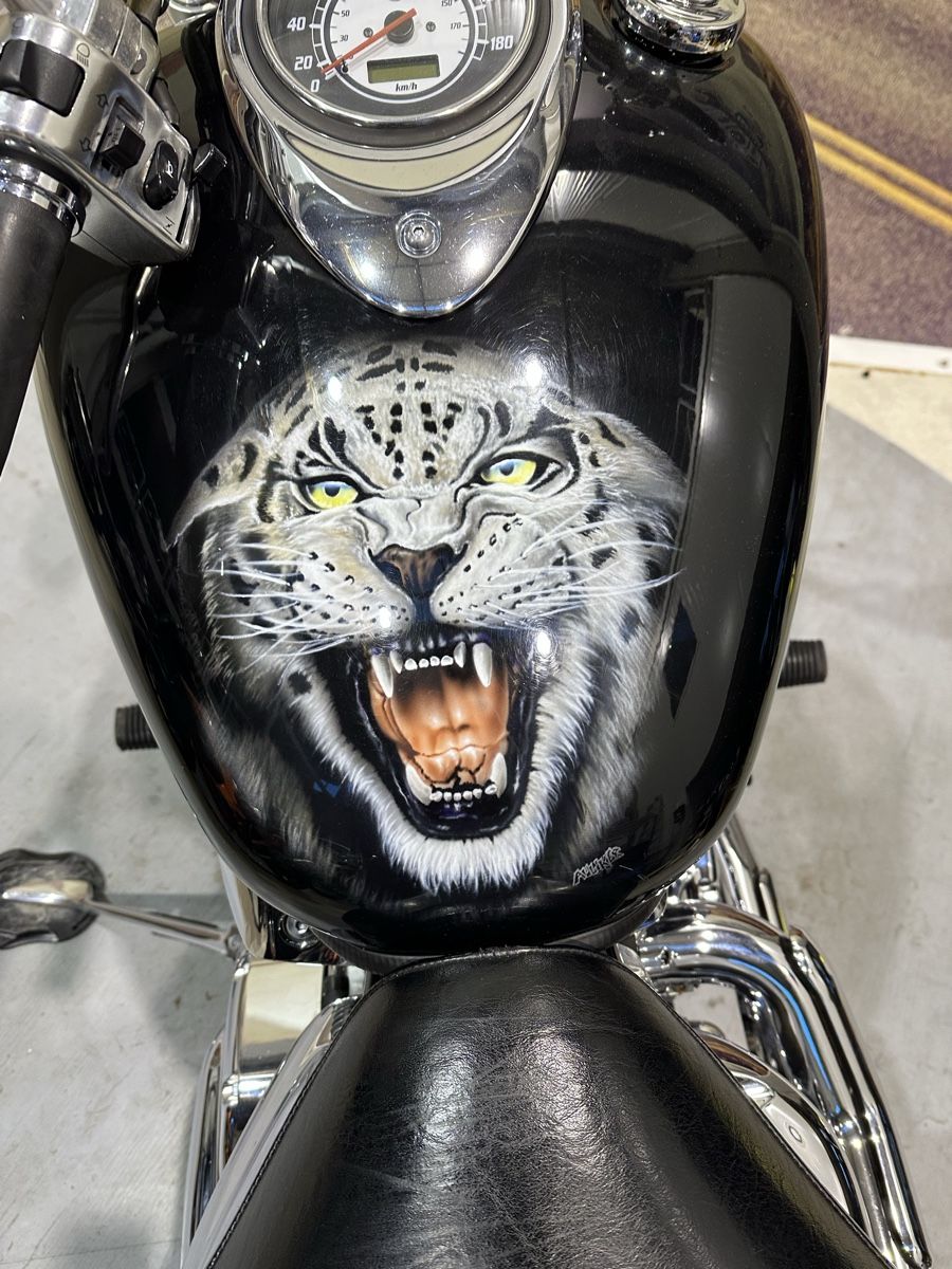 Yamaha Chopper: Yamaha XVS 1100 Dragstar ab 2999.00 – Gebraucht aus Liebistorf von motocentergmbh 7