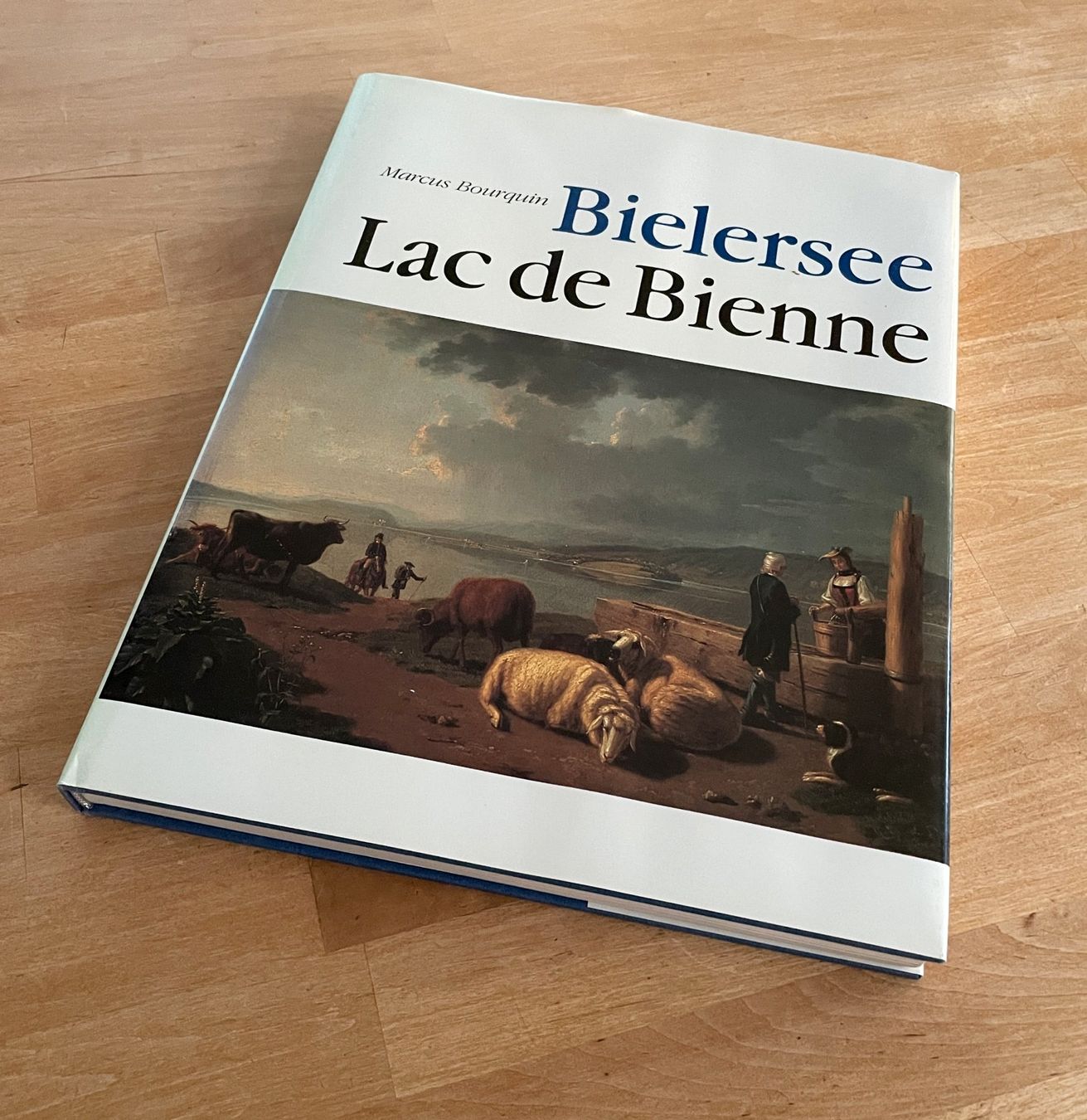 Libri: Bielersee - Lac de Bienne / Marcel Bourquin – Usato da Savagnier venduto da Ne2065
