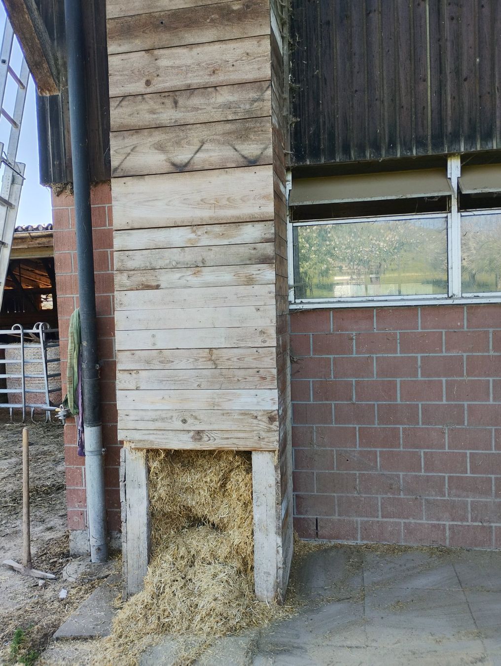 Tutte le macchine: Silo – Usato da Hirzel venduto da rennferkel 1