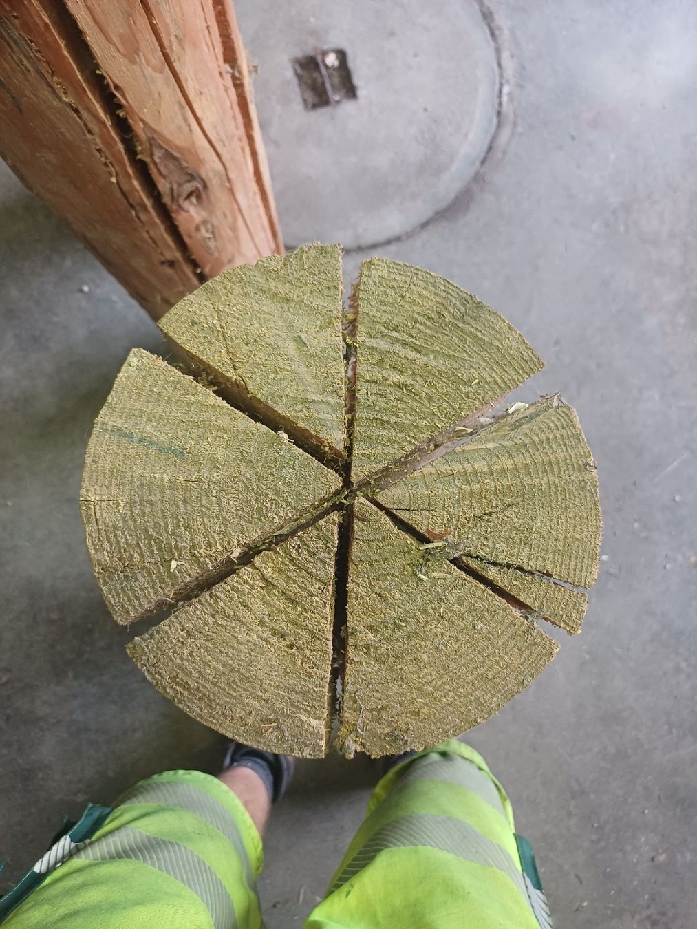 Articoli in legno: 3 Stück Finnenkerzen 1Meter hoch – Usato da Wangenried venduto da Recycler94 2
