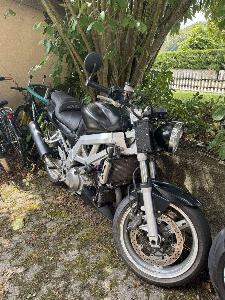 Suzuki Strasse: Suzuki SV1000 S – Gebraucht aus Luzern von Zadorozhnii 2