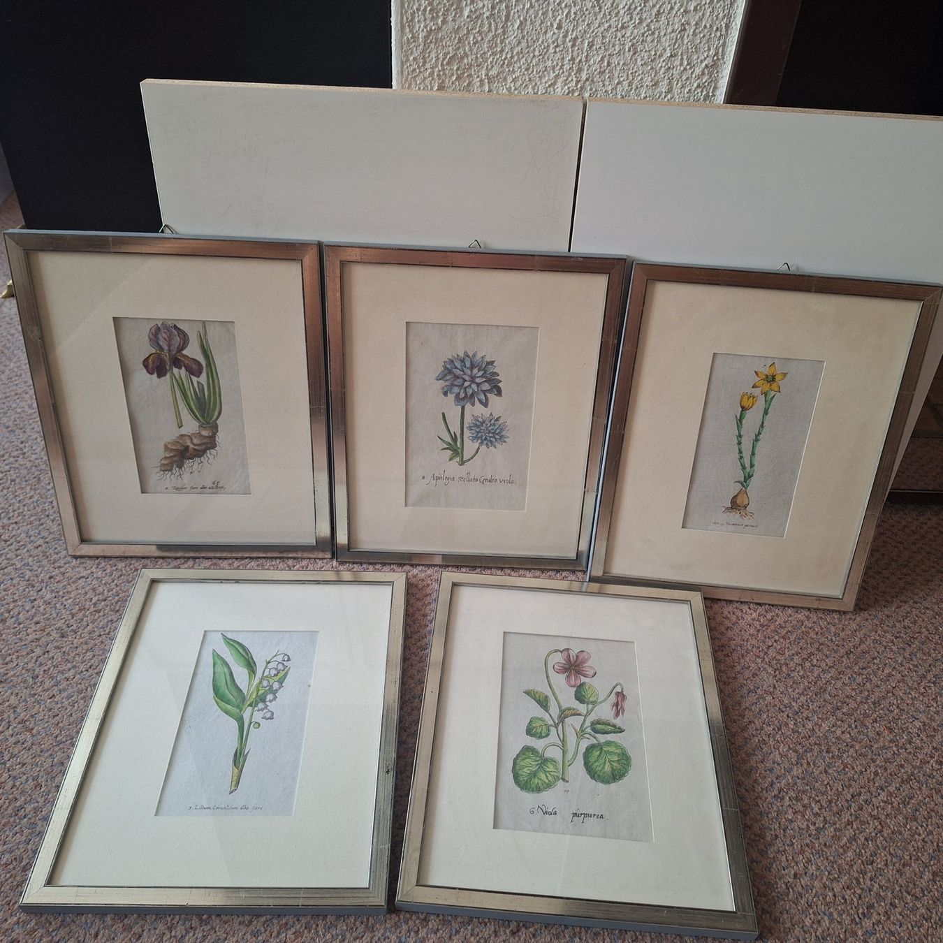Poster & Bilder: Nostalgische Blumen Bilder silberfarbener Bilderrahmen – Gebraucht aus Winterthur von Goldpipau