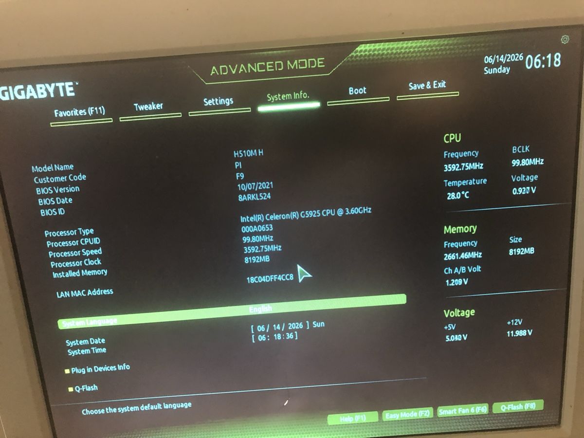 Intel Schede madri: Mainbord mit Intel celeron G5925 – Usato da Biel-Bienne venduto da alos07 2