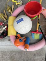 Sommer-Spielzeug-Set: Fussball Poolnudel, Springerli, Eim