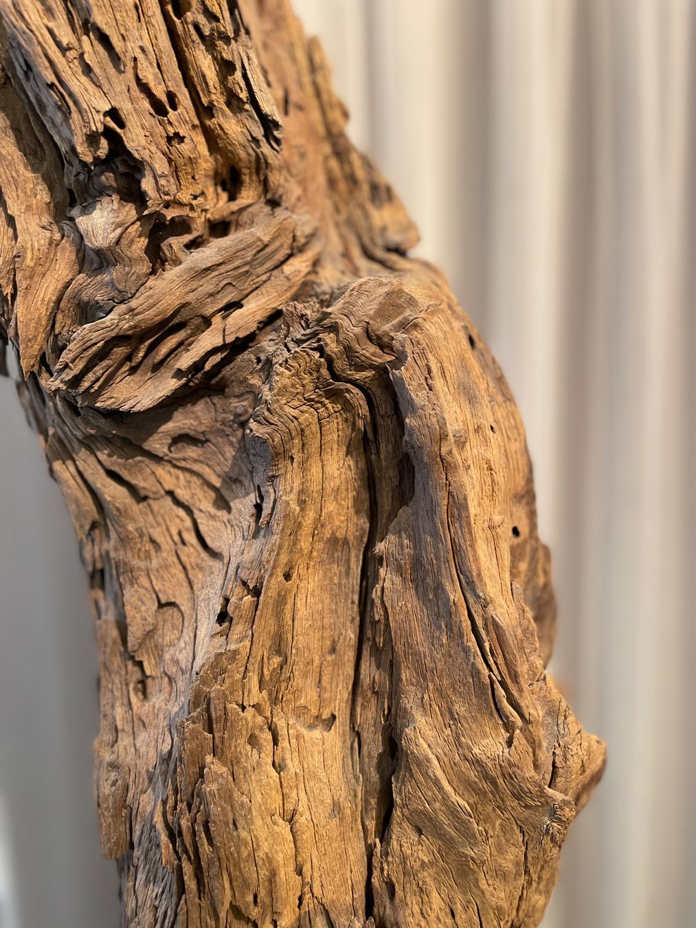 Statuette: Namibisches Wüstenholz – Usato da Zürich venduto da Selection_ArchStudio 2